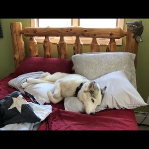 Meet your Posher, Patrick